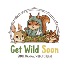 Get Wild Soon Wildlife Rehab